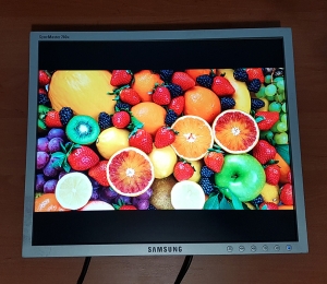 Матрица Samsung LTM170EX-L21